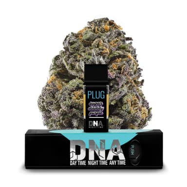 Sugar Daddy Purple - 1g - DNA Pod image 1