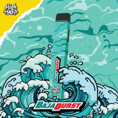 Baja Burst - 1G - All in One image 1