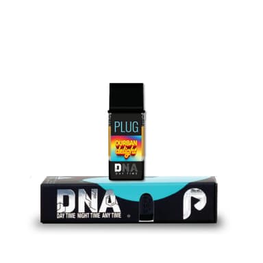 Durban Delight - 1G - DNA image 2