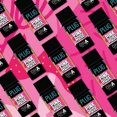 Pink Rosé - 1G - DNA Pod image 3