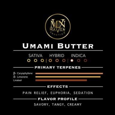 Umami Butter - 1G - PR image 7