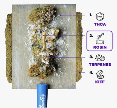 Berry White - 2.5G - 5 PK Infused PR image 2
